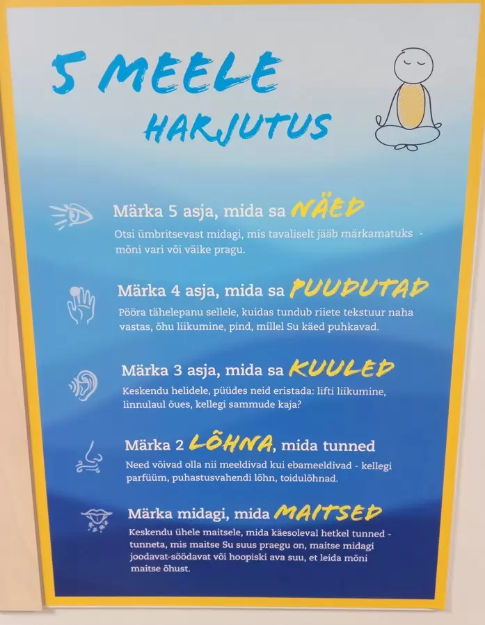 Kui suur osa eestimaalasi teab , mis tähendab kremlimeelsus?